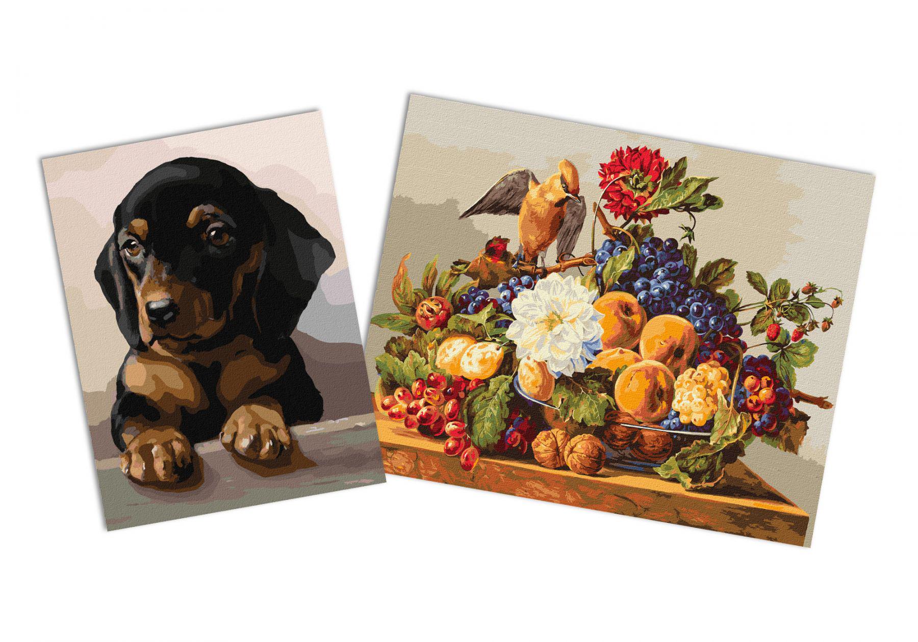 Набор картин по номерам Идейка 2в1 Обед свиристеля 40x50 см KHO4396 и Преданный взгляд 30x40 см KHO4345 (CKHO8141)