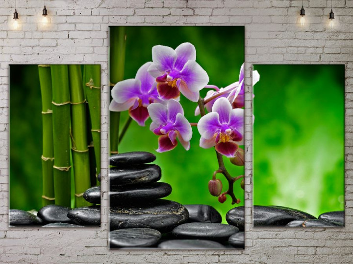 Картина модульная ArtStar Розовая орхидея камни ADFL0105 120х180 см 3 части