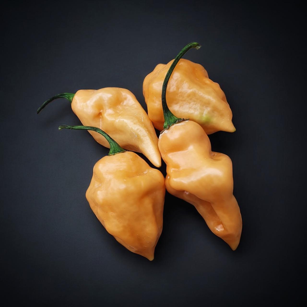 Насіння Trinidad Moruga Scorpion Peach Long Capsicum chinense Перець гострий 5 шт. (2462175552) - фото 2