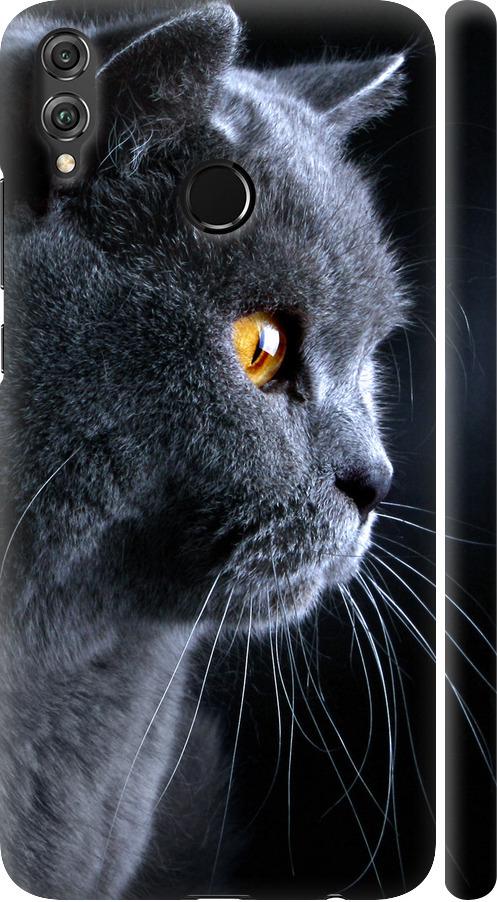 Чехол на Huawei Honor 8X Красивый кот (3038m-1596-42517)
