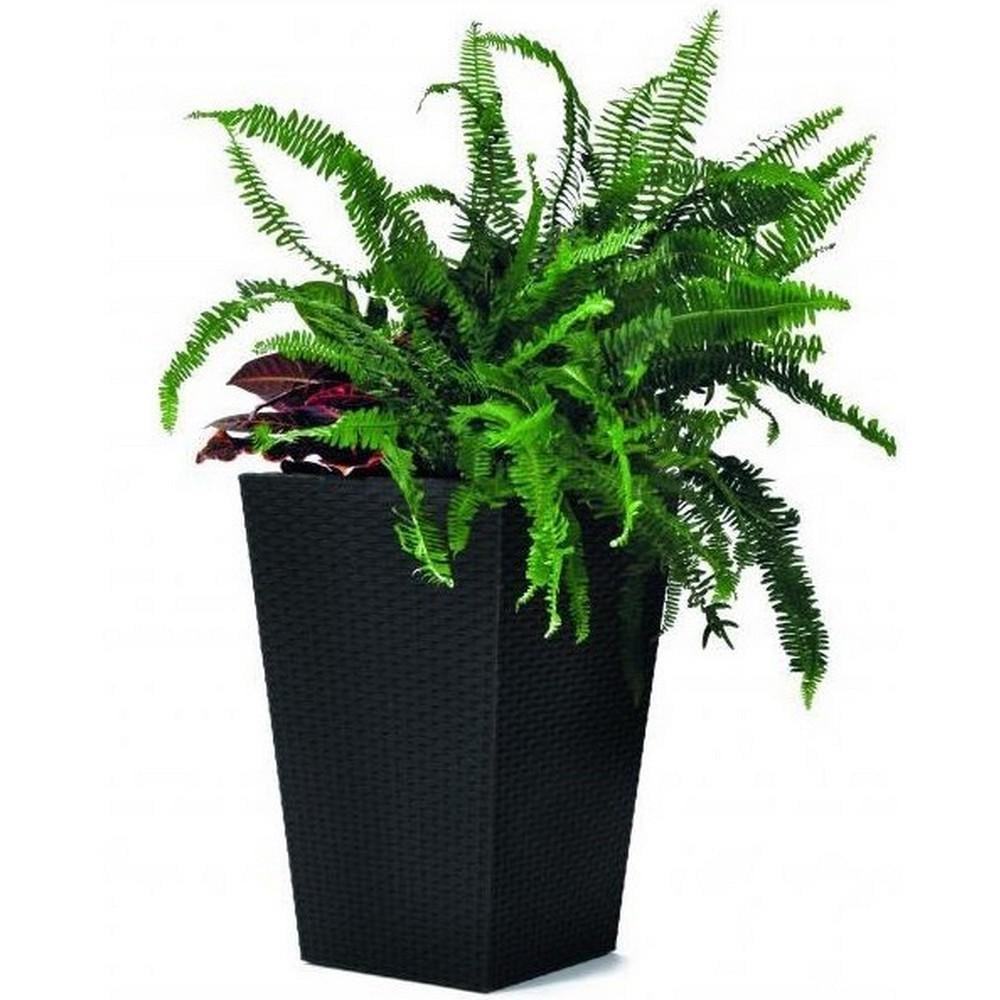 Горшок для цветов Keter Rattan Planter S 23,6 л Антрацитовый (228978) Горшок для цветов Keter Rattan Planter S 23,6 л Антрацитовый (228978)