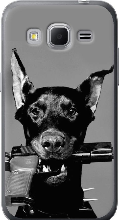 Чехол на Samsung Galaxy Core Prime VE G361H Доберман (2745u-211-42517) Чехол на Samsung Galaxy Core Prime VE G361H Доберман (2745u-211-42517)