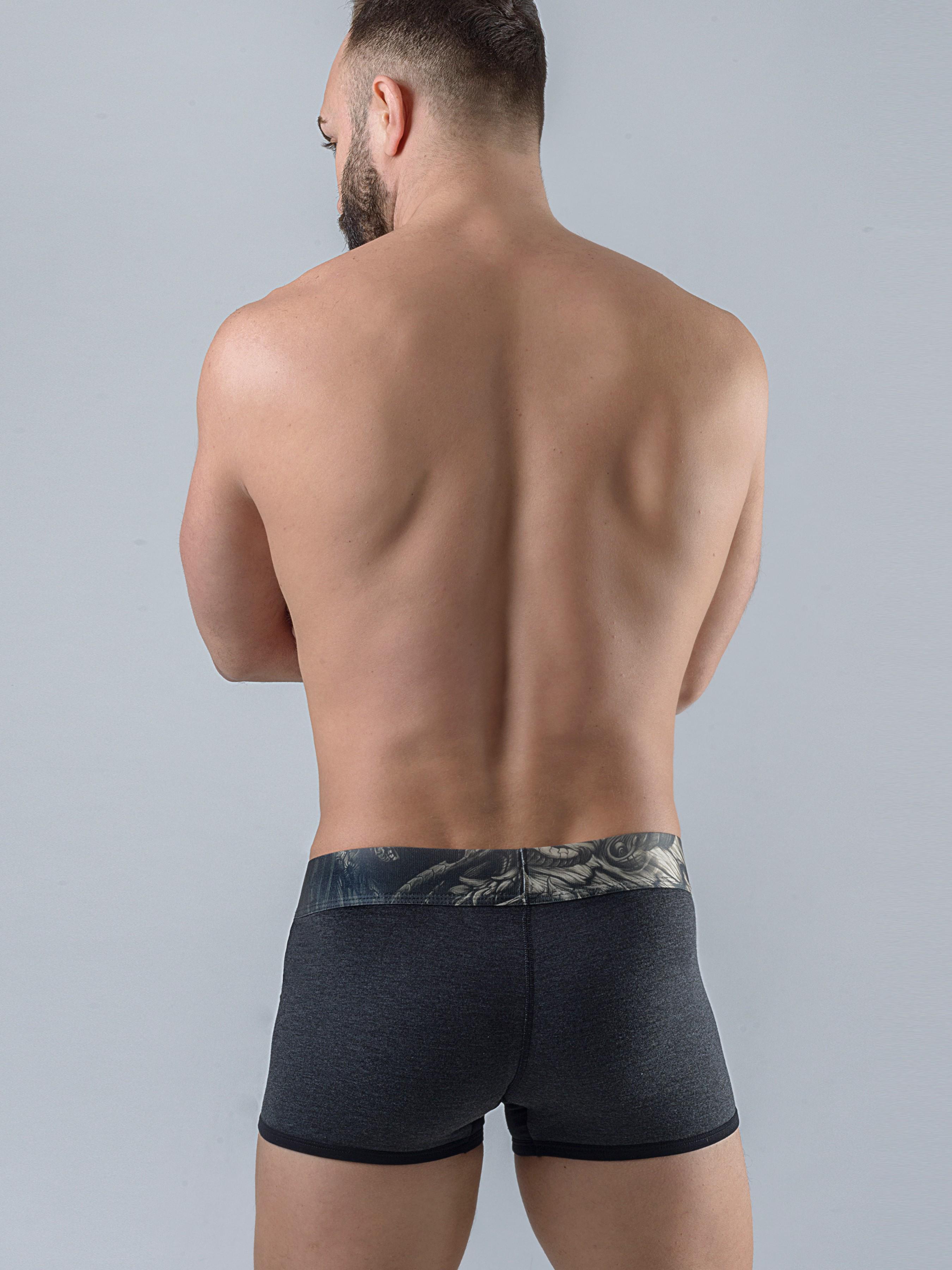 Трусы боксеры Geronimo 17571b1 XL Graphite (3800205837862) - фото 2