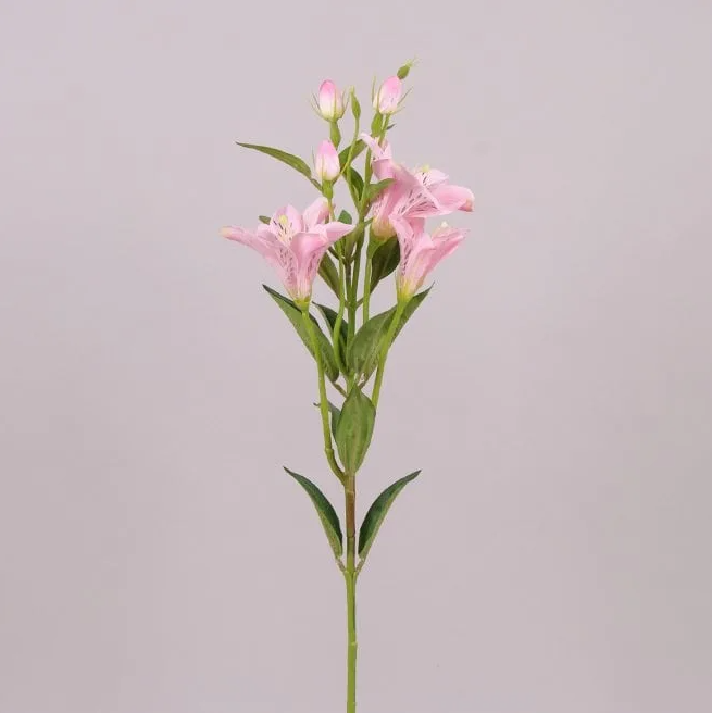 Цветок Альстромерия Flora Розовый (71313)