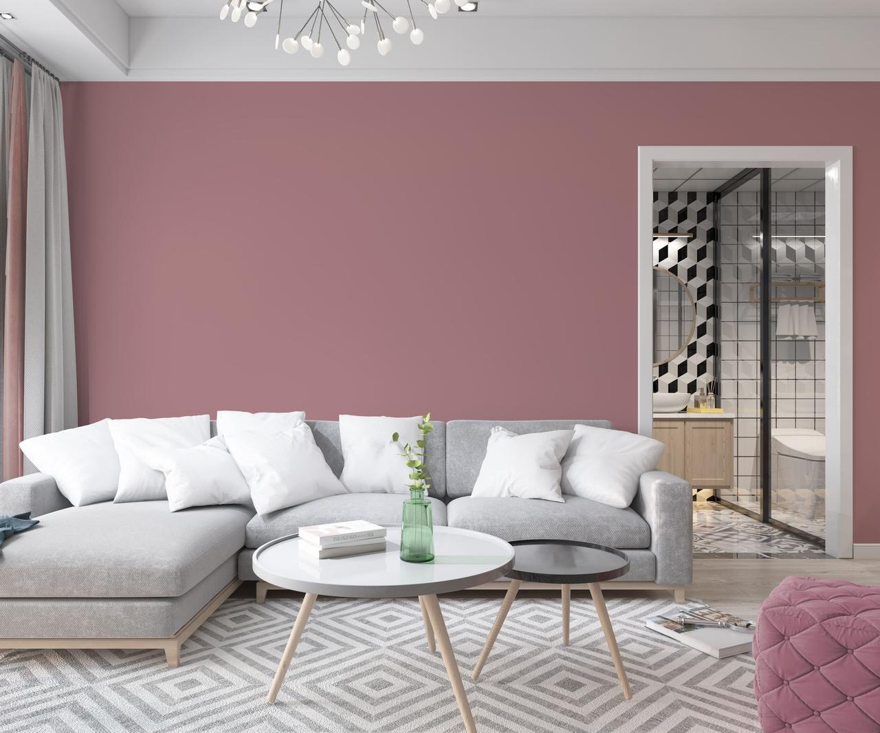 Краска интерьерная латексная Skyline 3020-R 1 л Пудровый (650c0cc74bc23147a0718a5e) - фото 3 Краска интерьерная латексная Skyline 3020-R 1 л Пудровый (650c0cc74bc23147a0718a5e) - фото 3