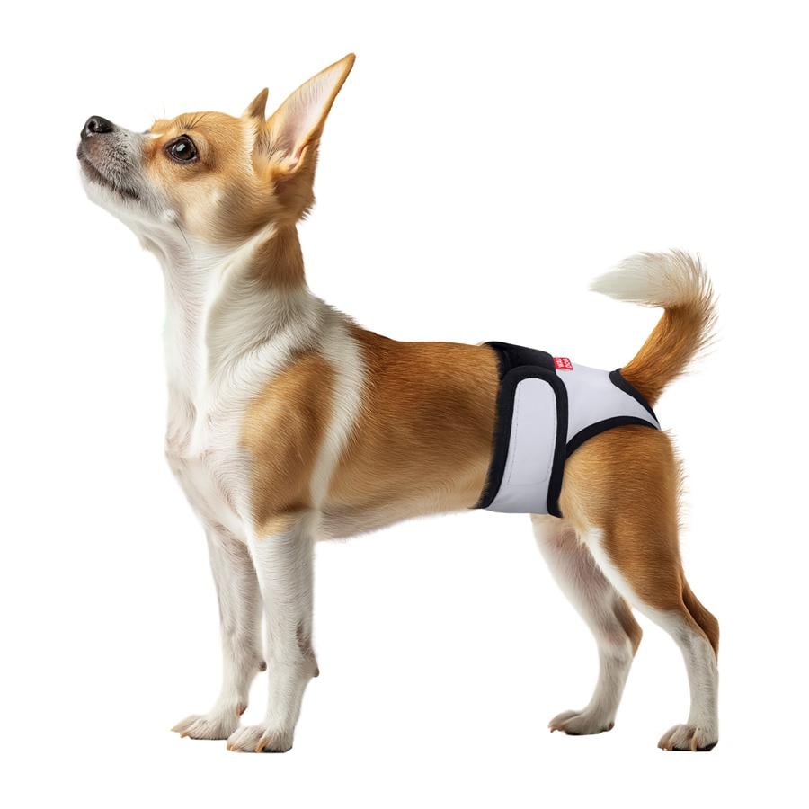 Труси для котів і собак гігієнічні Waudog Vet на липучках XL А 56-68x18 см Grey (678511) - фото 3