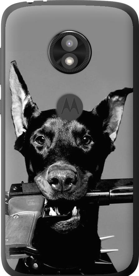Чехол на Motorola Moto E5 Play Доберман (2745u-1429-42517)