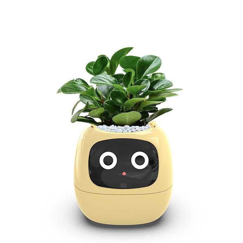 Горшок для растений интерактивный Ivy Smart Planter Tuya AI Yellow (100311)