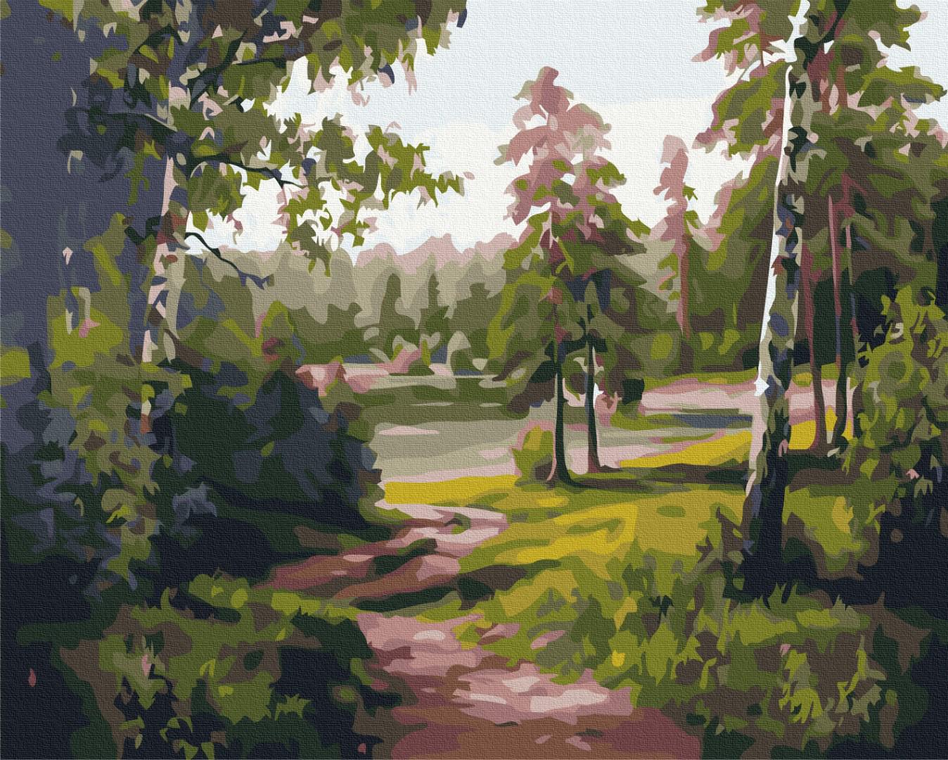 Картина по номерам Brushme Березовая долина 48x60 см (BS52676L)