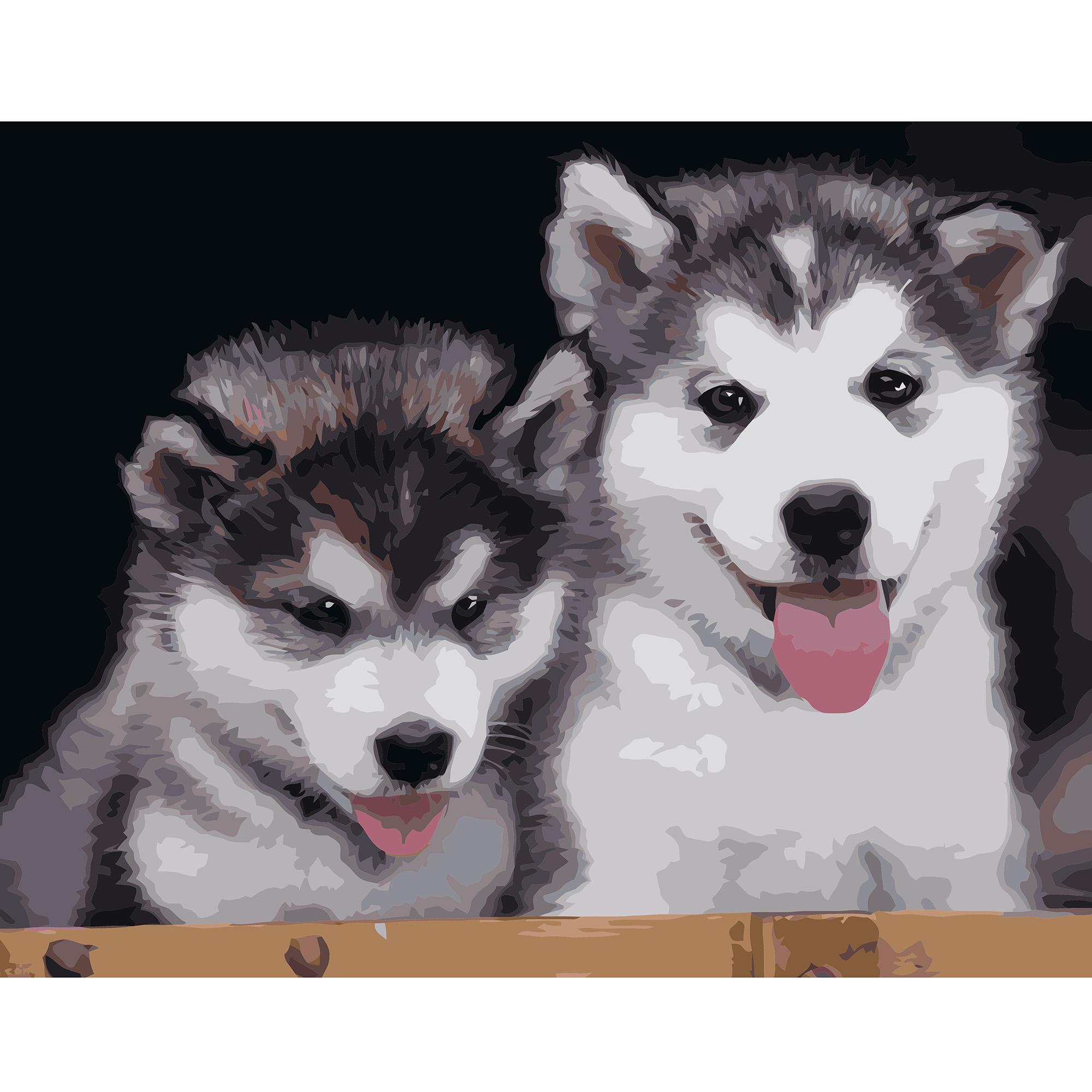 Картина по номерам Strateg Пушистые щенки хаски 40x50 см (VA-1155)