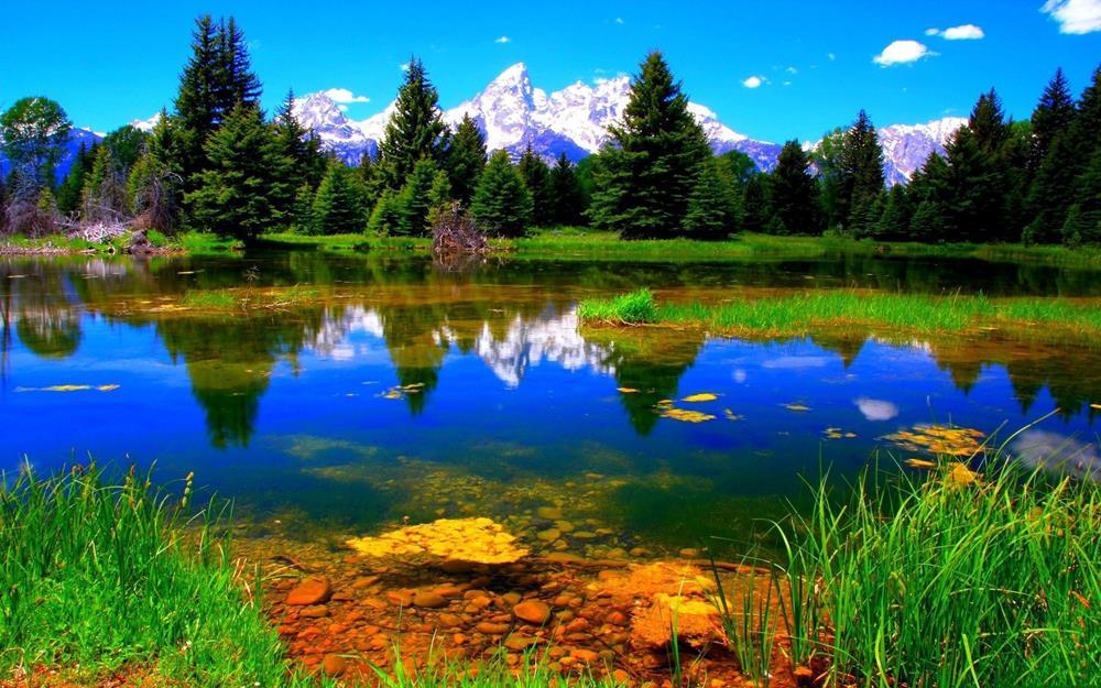 Картина на холсте Природа 55х85 см (N131)