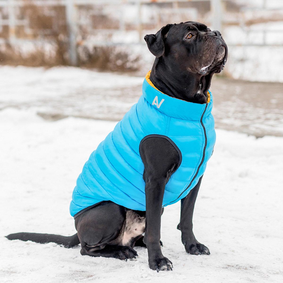 Курточка двухсторонняя AiryVest для собак Colors of freedom L 55 (4449-4020 Col) - фото 6 Курточка двухсторонняя AiryVest для собак Colors of freedom L 55 (4449-4020 Col) - фото 6