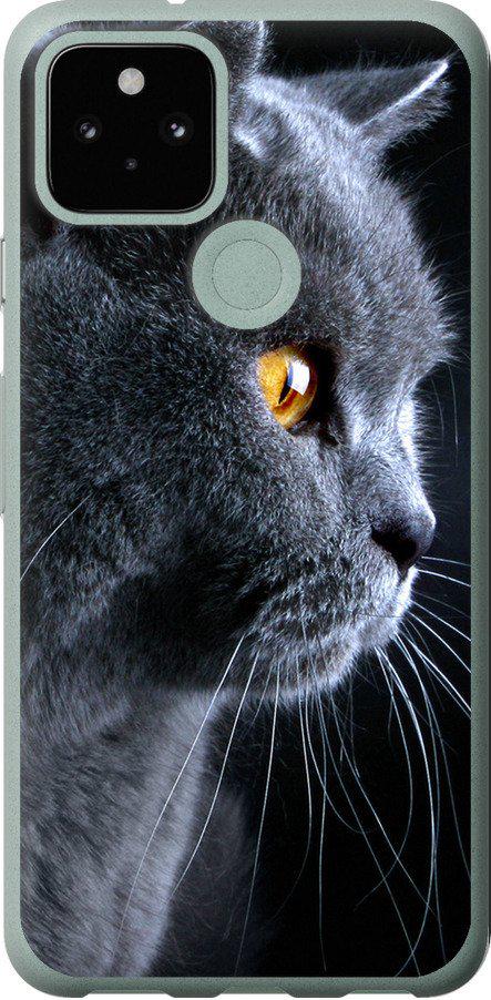 Чехол на Google Pixel 5 Красивый кот (3038t-2044-42517) Чехол на Google Pixel 5 Красивый кот (3038t-2044-42517)