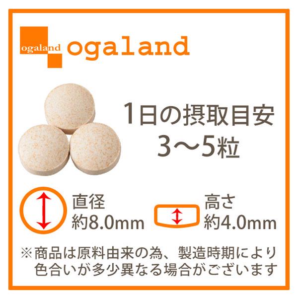 Экстракт устриц Ogaland Oyster Extract Grain 30 дн. 90 шт. - фото 3