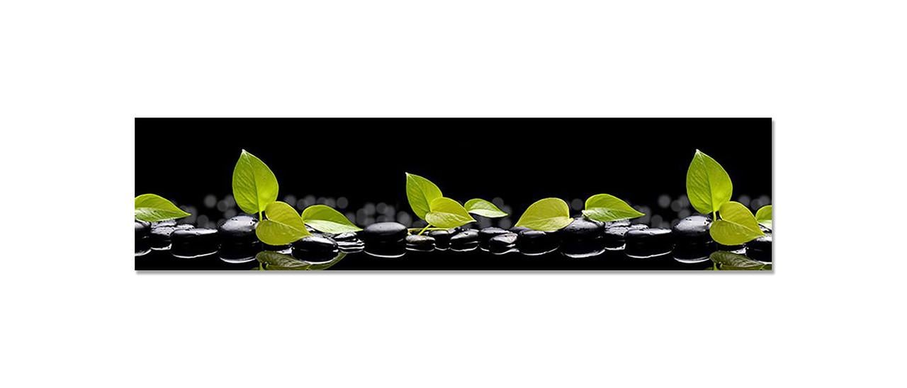 Наклейка виниловая на кухню Zatarga Зеленые листья на камнях 600х2500 мм (1274514301)