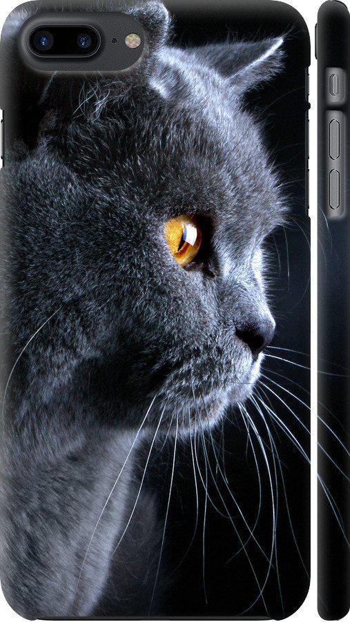 Чехол на iPhone 8 Plus Красивый кот (3038m-1032-42517)