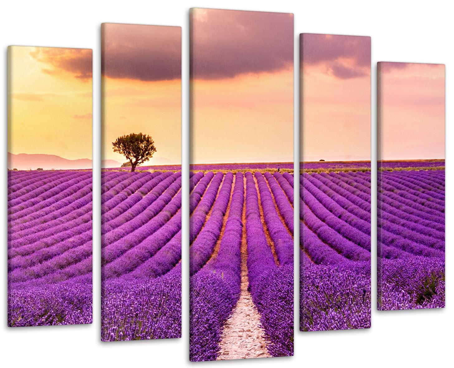 Картина модульная Поле лаванды 105х150 см (Art-402_5)
