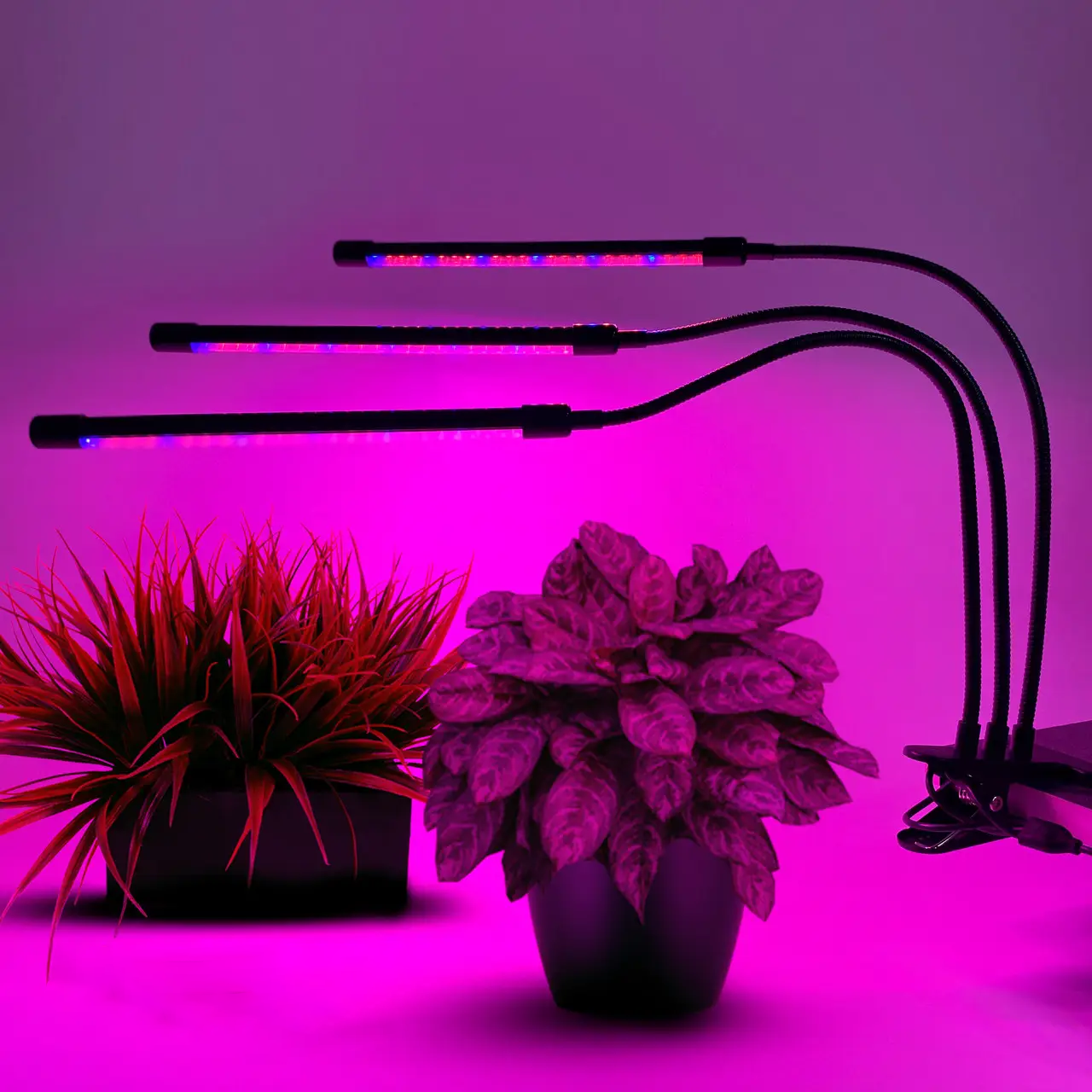 Фітолампа з прищіпкою LEDium Fito Violet H3 14 Вт (16714) - фото 2 Фітолампа з прищіпкою LEDium Fito Violet H3 14 Вт (16714) - фото 2