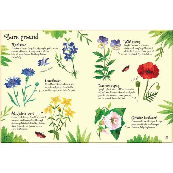 Книга Usborne "Flowers to Spot" Sam Smith/Stephanie Fizer Coleman (ISBN:9781474952163) - фото 2