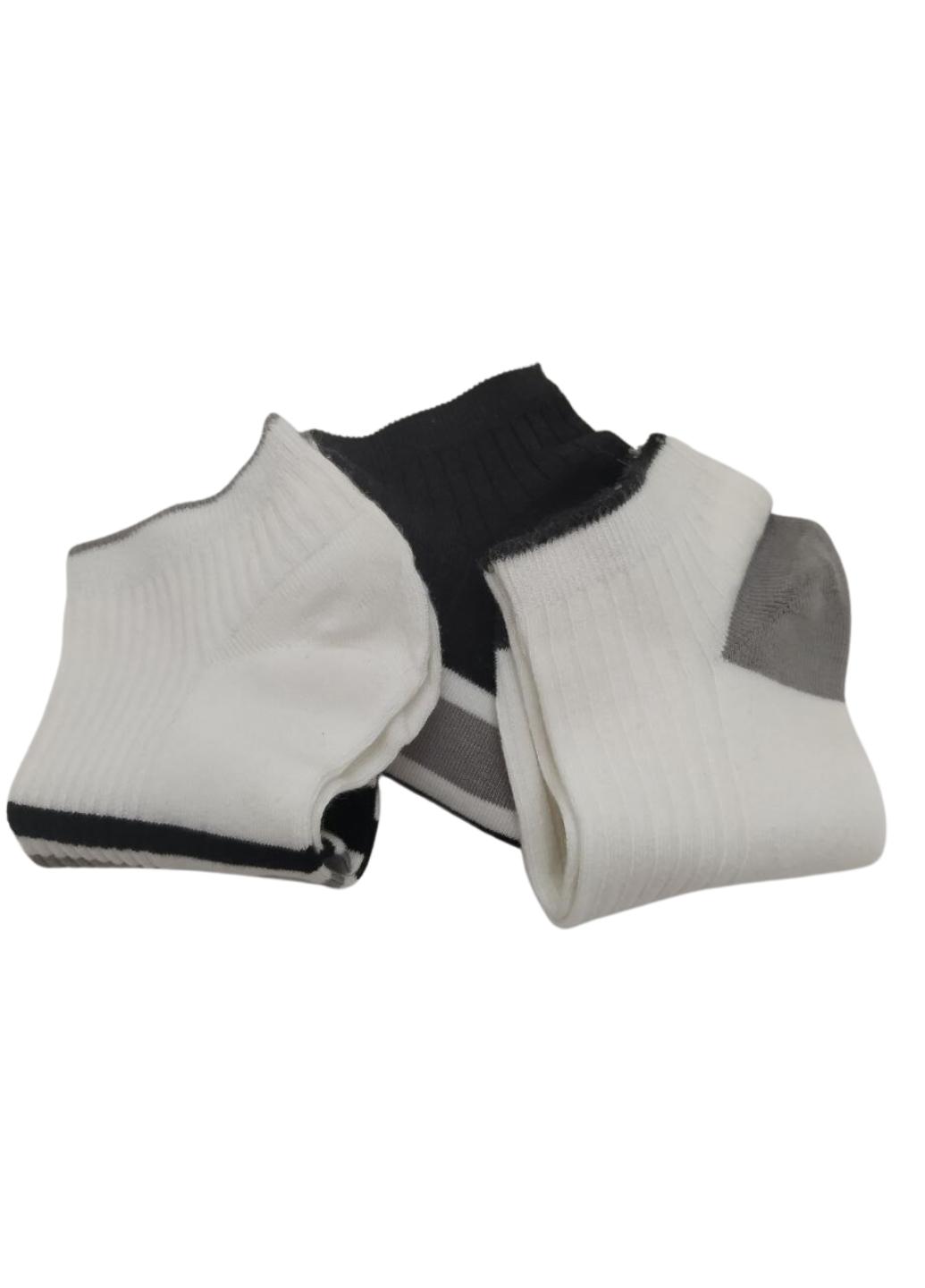 Набор носков мужских Good Сhoice 908-01 р. 41-44 3 шт. Разноцветный (12562218) - фото 3 Набор носков мужских Good Сhoice 908-01 р. 41-44 3 шт. Разноцветный (12562218) - фото 3