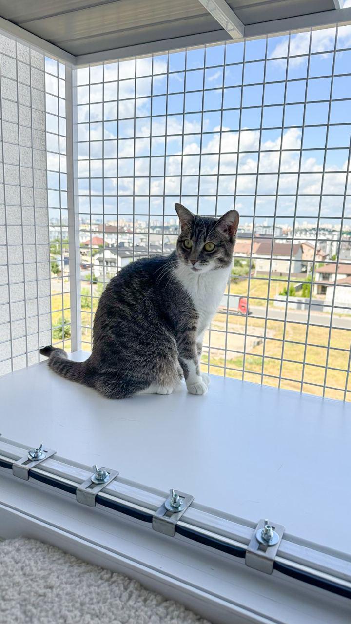 Балкон для котів з одним поверхом прямокутний підвісний 590х420х1250 см Білий (008) - фото 4