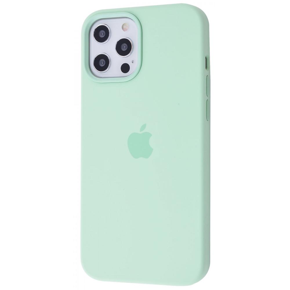 Чохол PRC Silicone Case with MagSafe для iPhone 12 Pro Max Pistachio