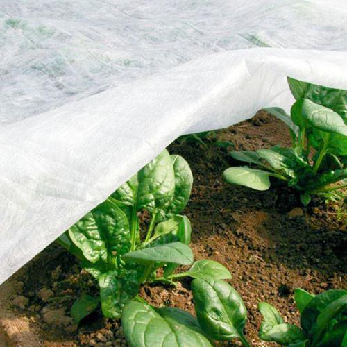 Агроволокно Greentex Р30 покровное для защиты растений 3,2x10 м Белый - фото 7