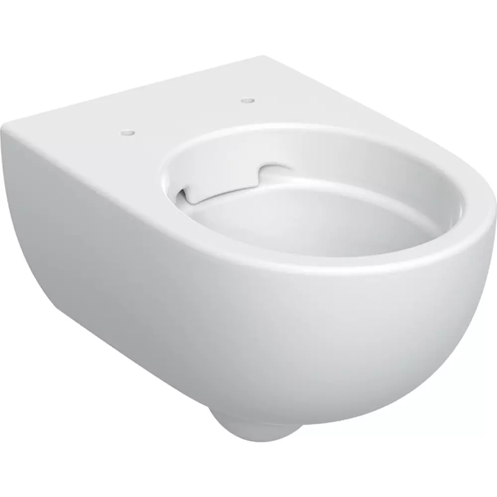 Унитаз подвесной Geberit Selnova Premium 502.035.00.1 Rimfree (35157924)