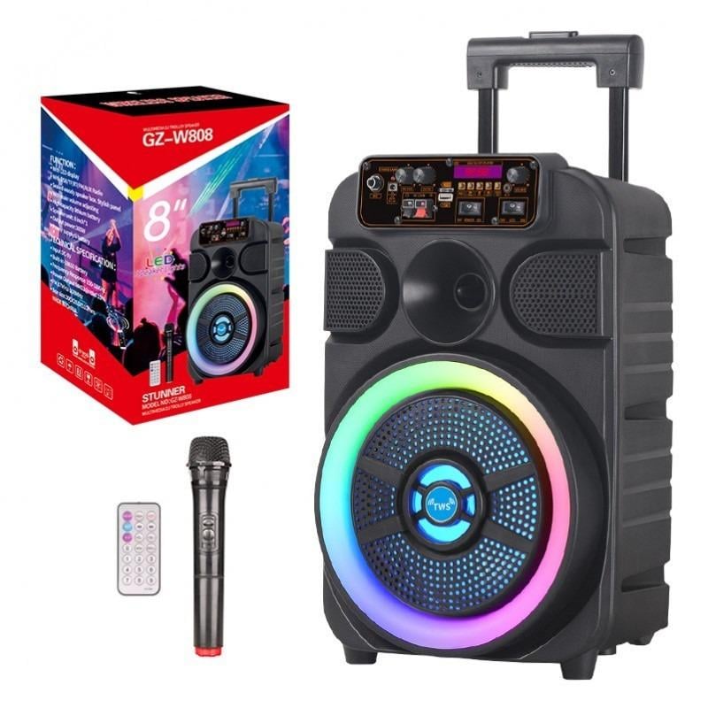 Портативная акустическая система Winso GZ-W808 с микрофоном 30 W (71ec119f)
