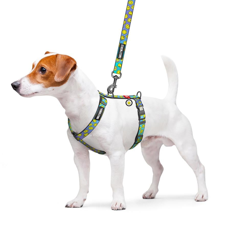 Шлейка для собак с QR-паспортом WAUDOG Nylon Смайлы пластиковый фастекс XL 25 мм A 60-100 см/B 68-100 см Blue (346-0182) - фото 3 Шлейка для собак с QR-паспортом WAUDOG Nylon Смайлы пластиковый фастекс XL 25 мм A 60-100 см/B 68-100 см Blue (346-0182) - фото 3