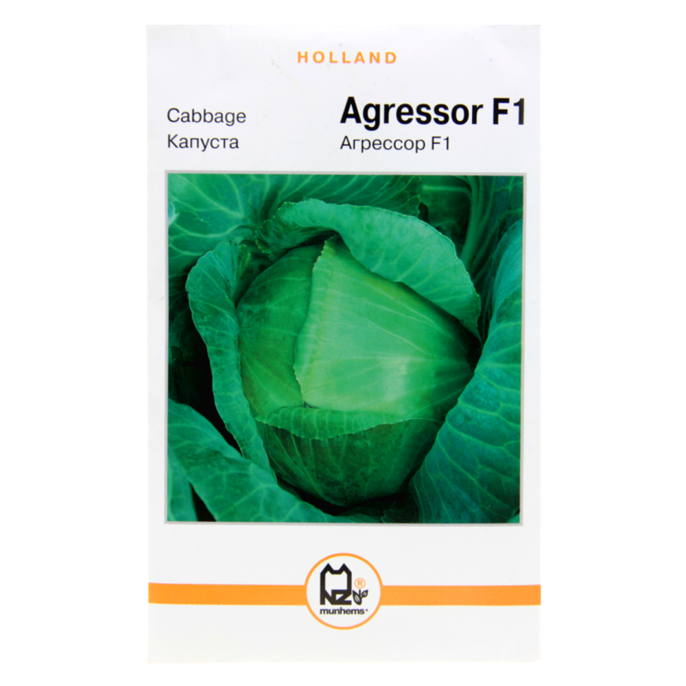 Насіння капусти Агресор F1 пізня 5 г (25724) Насіння капусти Агресор F1 пізня 5 г (25724)