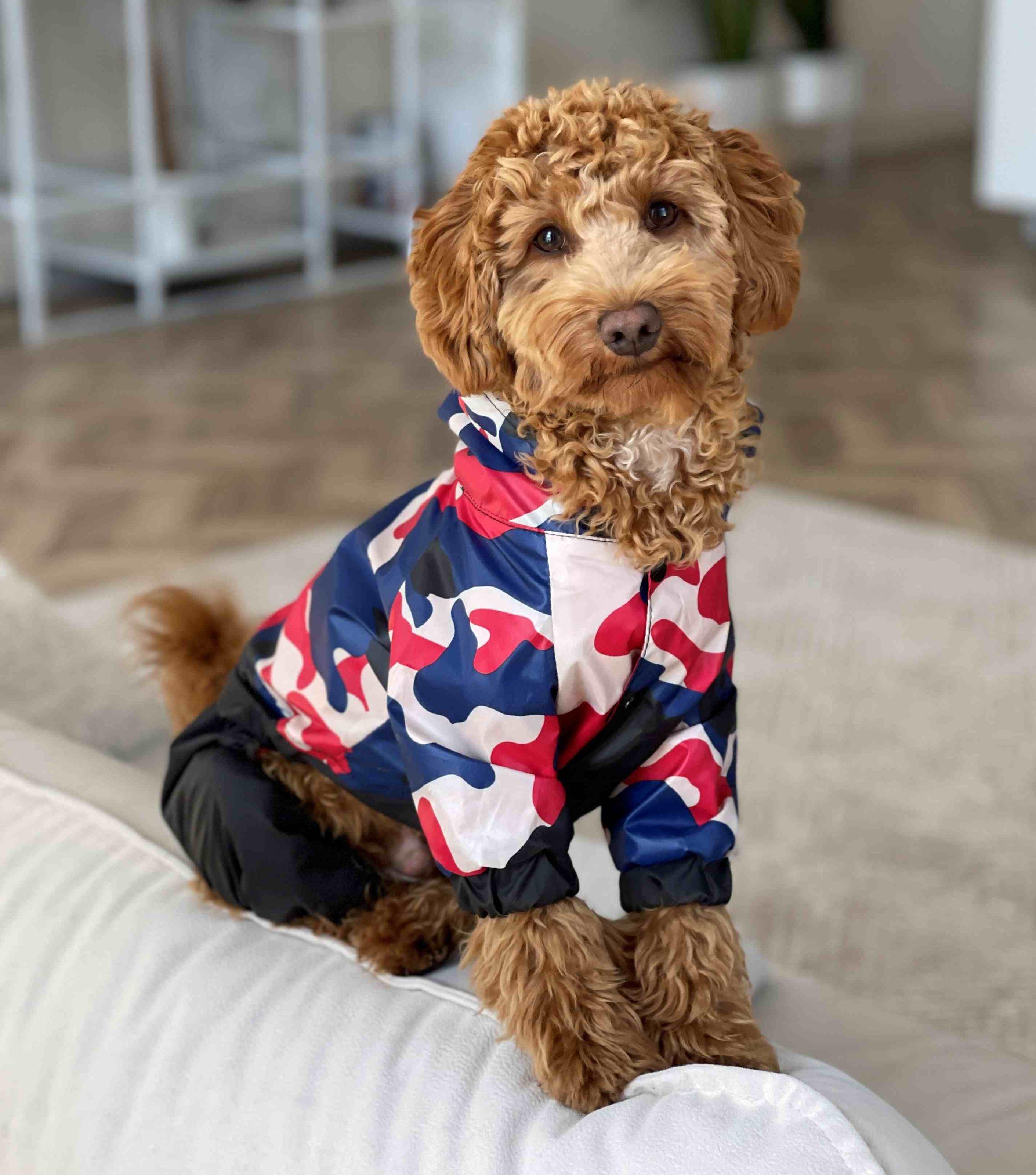 Дощовик для собак Dogs Bomba M-63 р. 8 Хакі/Синій (70579146)