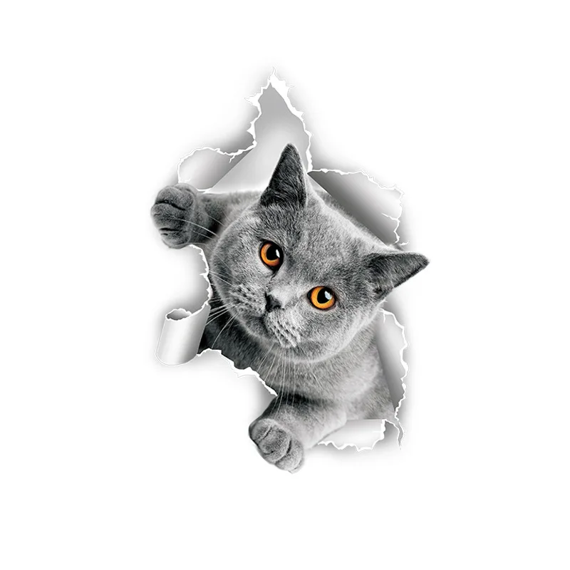 Наклейка 3D Кіт Сірий (2184965587)