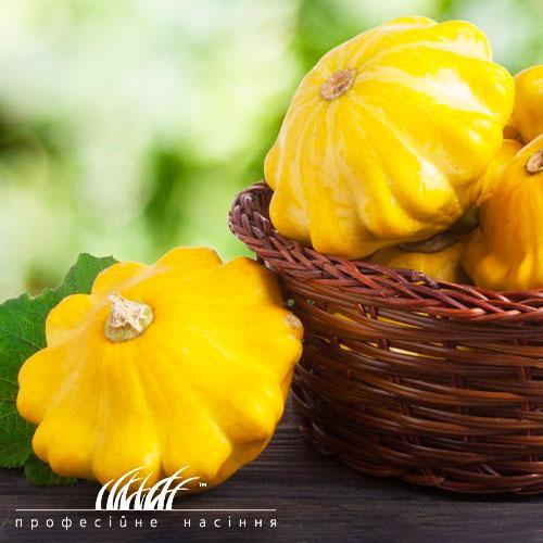 Семена Патіссон Florium Помаранчевий (11811) - фото 2 Семена Патіссон Florium Помаранчевий (11811) - фото 2