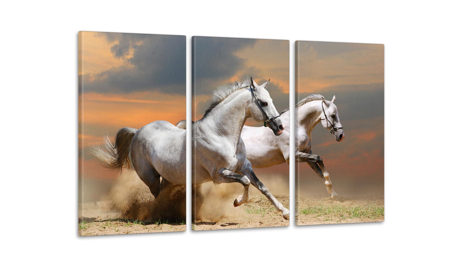 Модульная картина Природа Лошади 53x100 см (Art-81_3А)