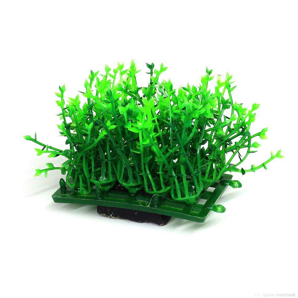 Искусственное растение для аквариума Hobby Plant Pad 1 7x4,5x5,5 см (51551) - фото 1