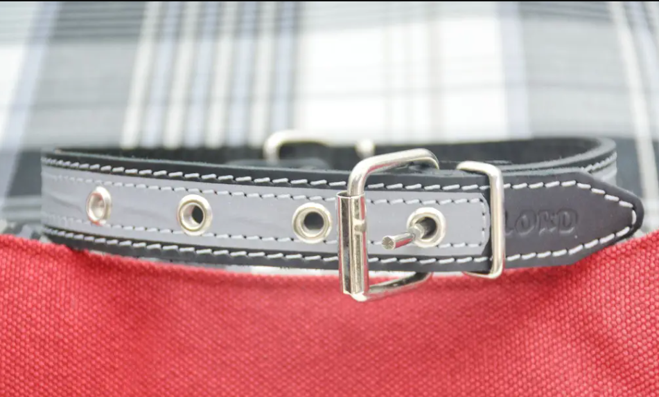 Нашийник для тварин шкіряний зі світло-відбивною стрічкою 18 мм х 28-36 см Чорний (2296445206) - фото 2 Нашийник для тварин шкіряний зі світло-відбивною стрічкою 18 мм х 28-36 см Чорний (2296445206) - фото 2