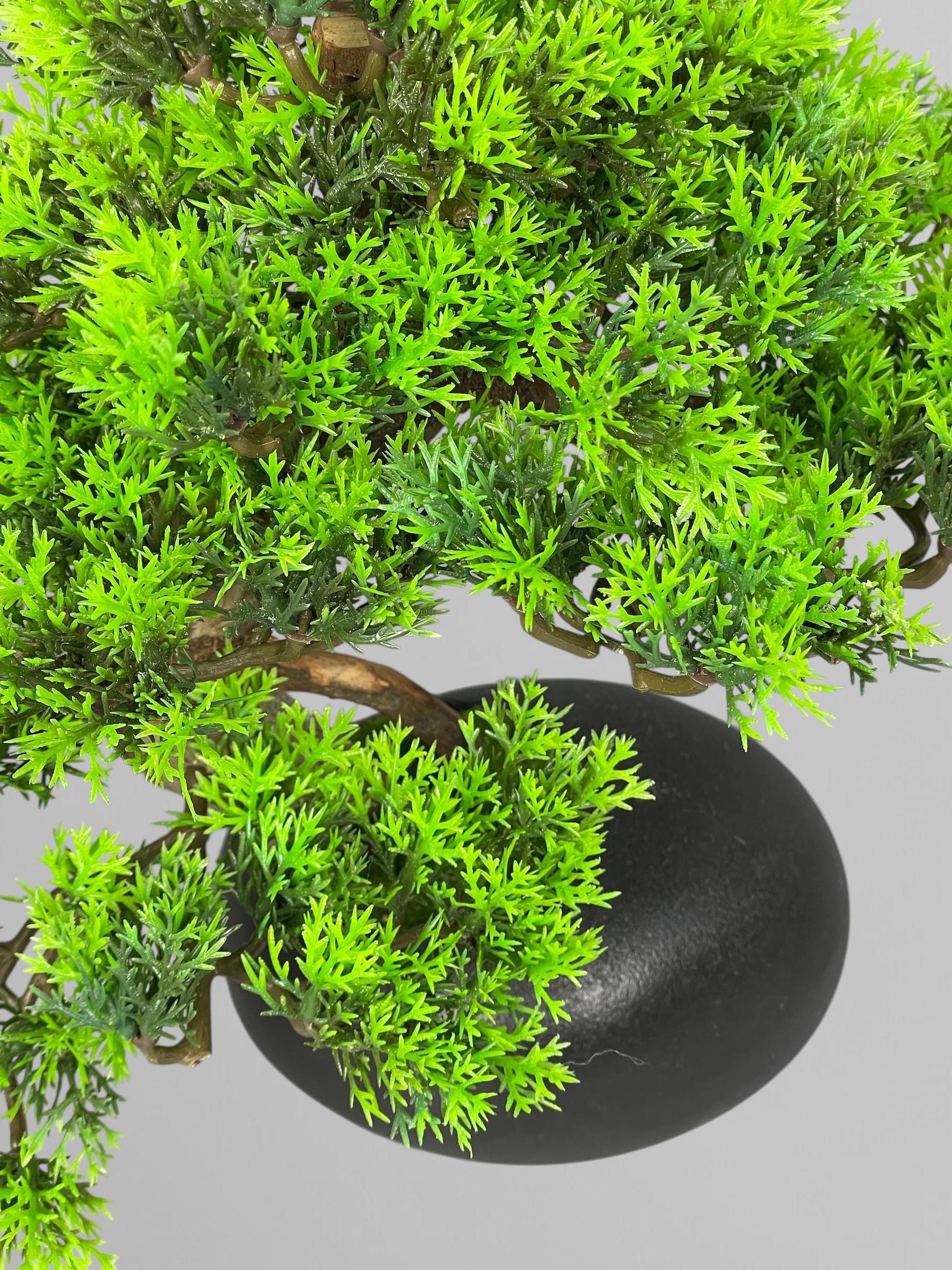 Бонсай 30 см Зеленый (Б004) - фото 3 Бонсай 30 см Зеленый (Б004) - фото 3