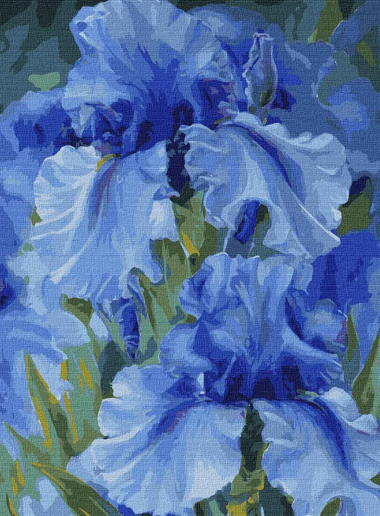 Картина по номерам Идейка Голубые ирисы Юлия Томеско 30х40 см (KHO2988)