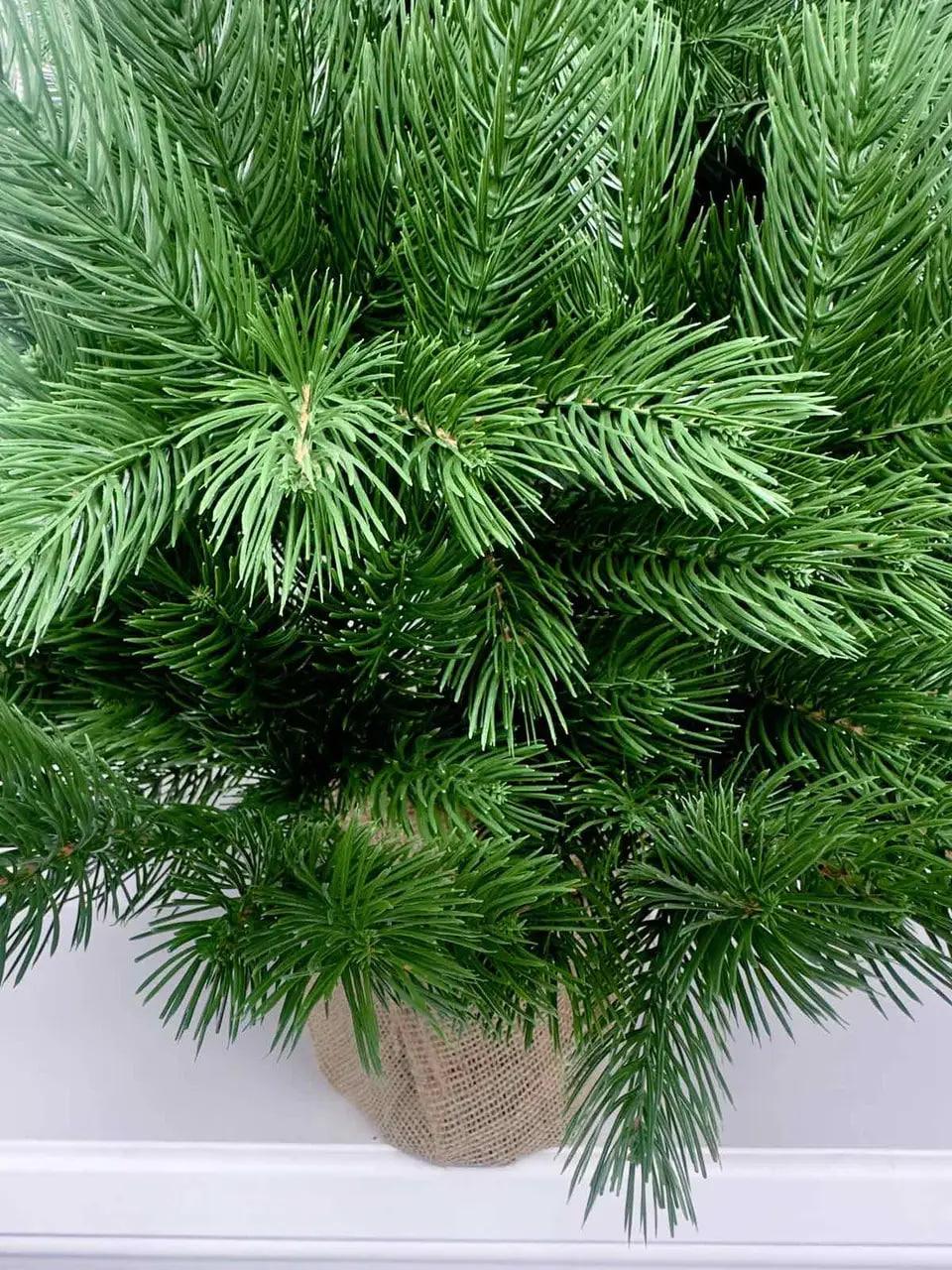 Елка искусственная литая SGH Pine Mini в мешковине 70 см Зеленый - фото 4