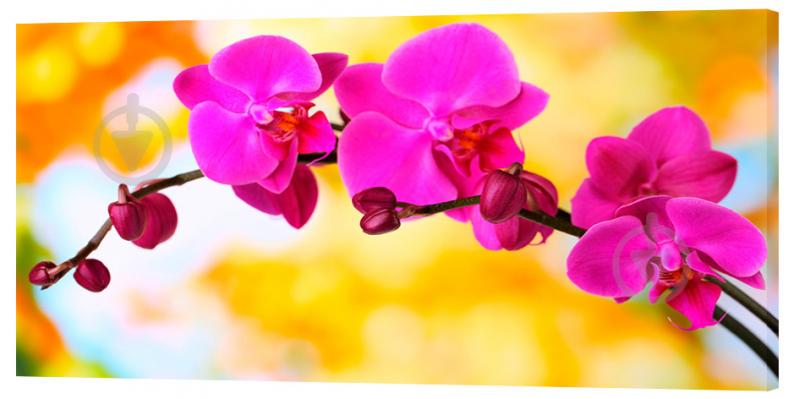 Картина на холсте Декор Карпаты Цветы 50х100 см (c32)