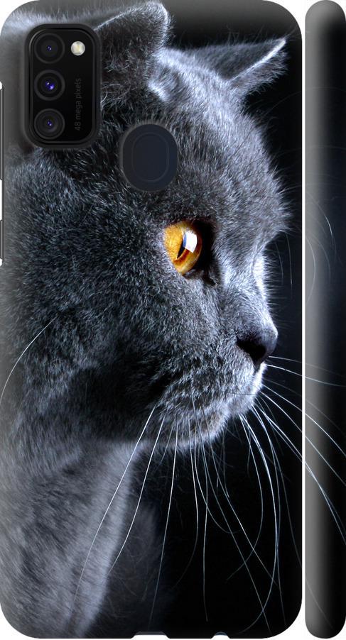 Чехол на Samsung Galaxy M30s 2019 Красивый кот (3038m-1774-42517)