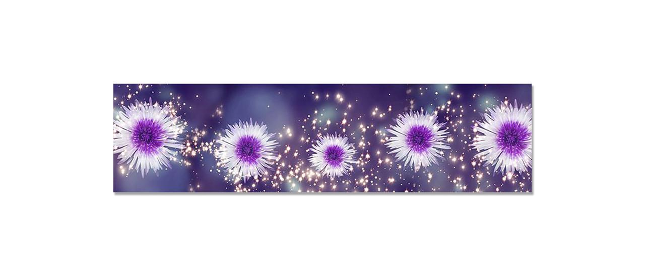 Наклейка виниловая на кухню Zatarga Блестящие Астры 650х2500 мм (1289776655)