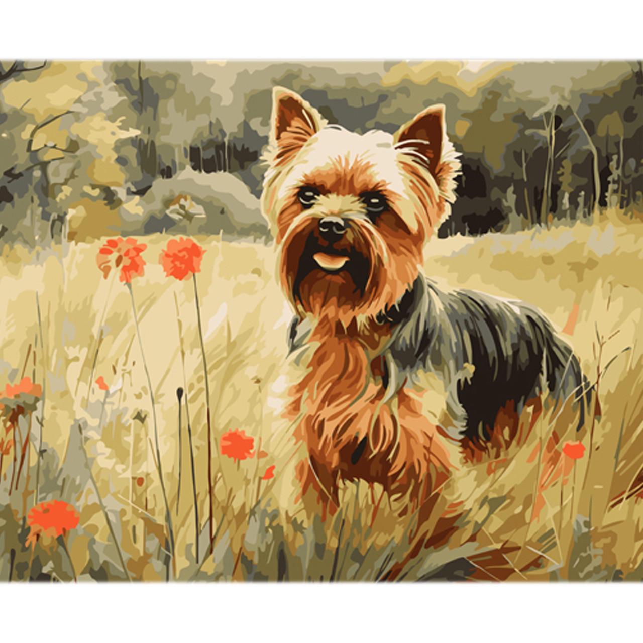 Картина за номерами Strateg Йорк на фоні зеленого лісу на кольоровому фоні 40х50 см (MZ014) Картина за номерами Strateg Йорк на фоні зеленого лісу на кольоровому фоні 40х50 см (MZ014)