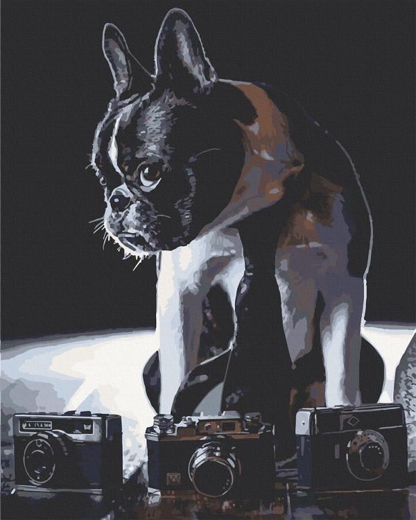 Картина по номерам ART CRAFT Фругский бульдог-фотограф 40х50 см