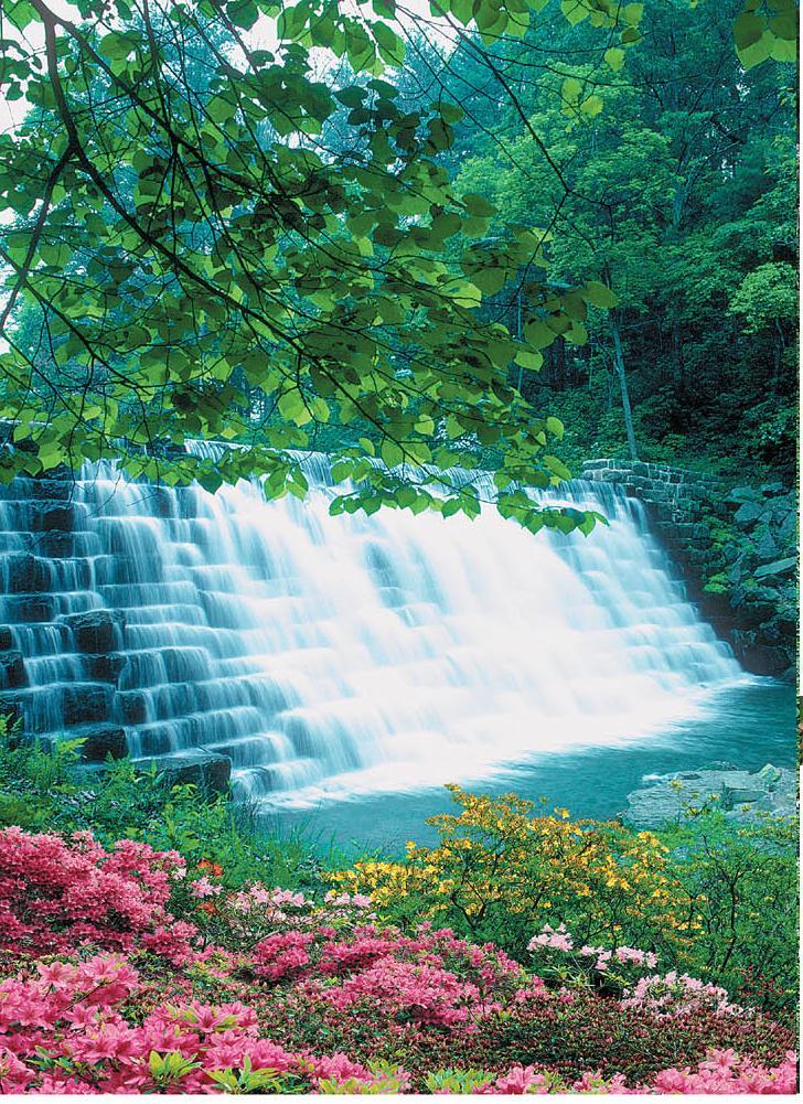 Фотообои на бумажной основе Artdecor Водная феерия 194х134 см (2000000451374)