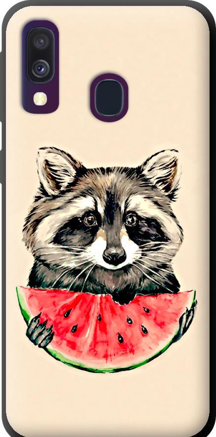 Чехол на Samsung Galaxy A40 2019 A405F Енотик с арбузом (4605b-1672-42517) Чехол на Samsung Galaxy A40 2019 A405F Енотик с арбузом (4605b-1672-42517)