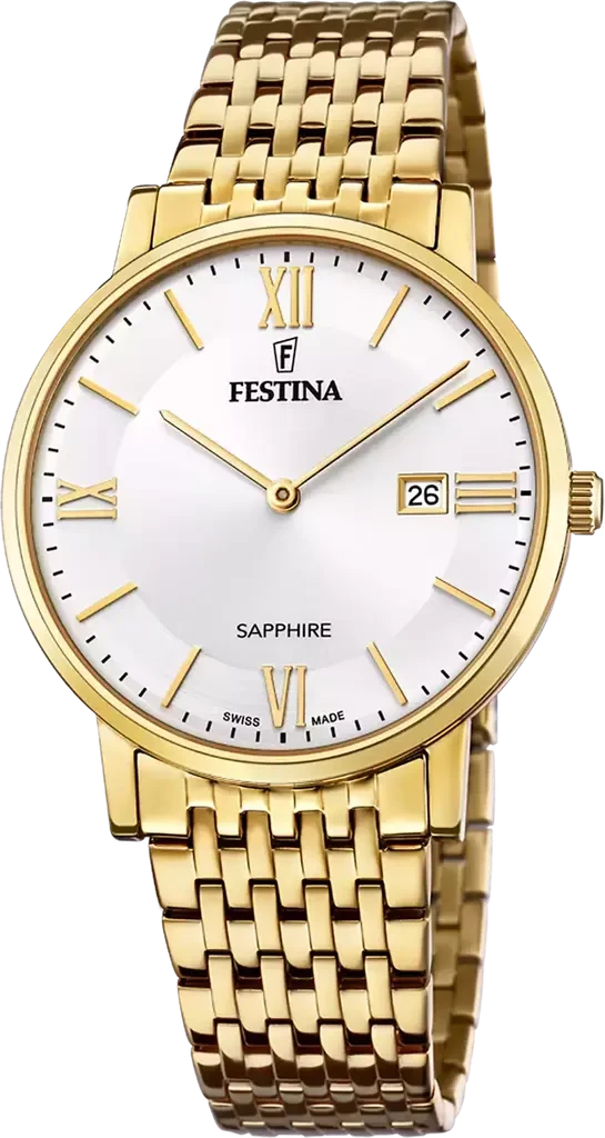 Наручний годинник чоловічий Festina Classics Swiss Made F20020/1