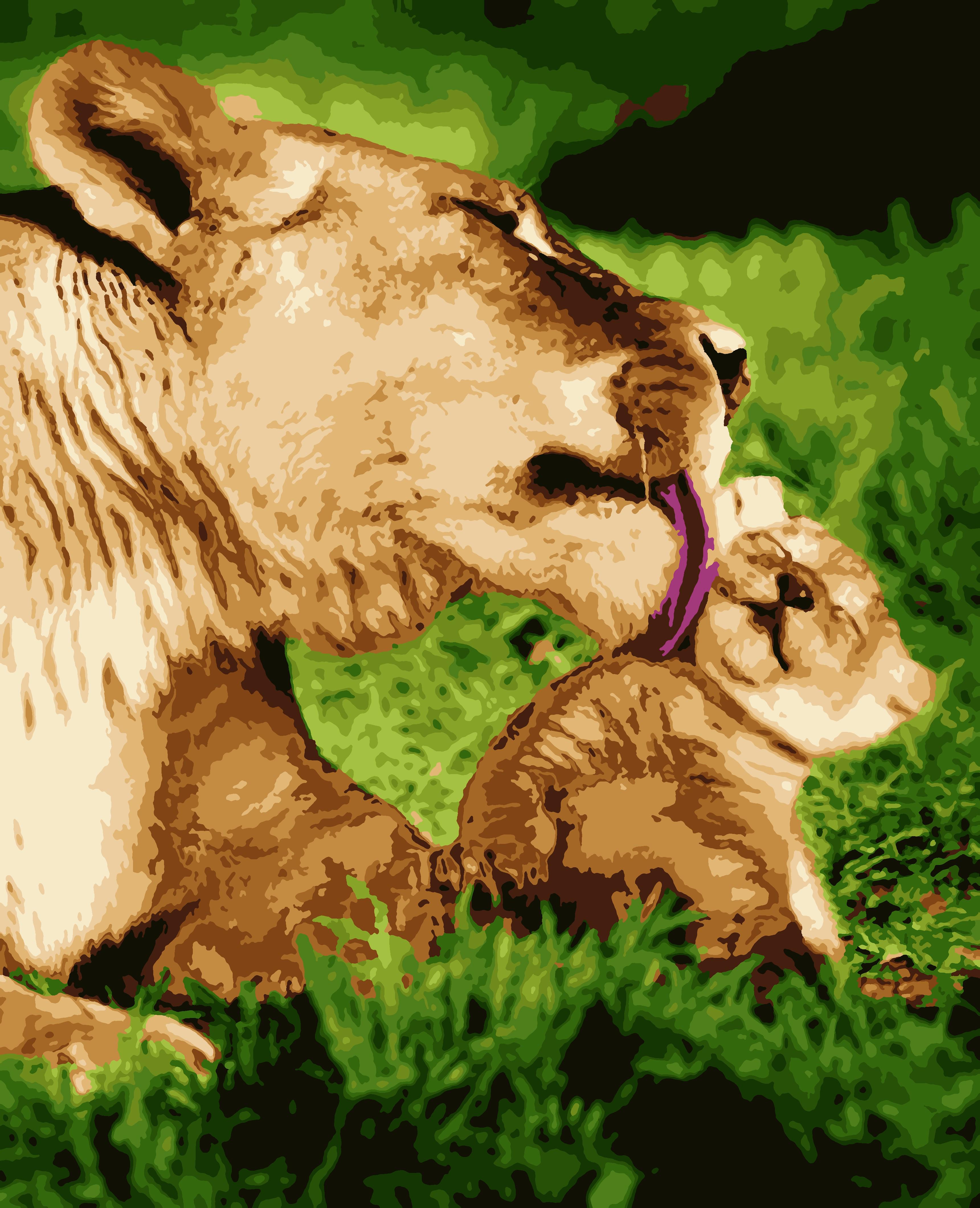 Картина по номерам Artissimo Львица со львенком  50х60 см (PNХ5340)