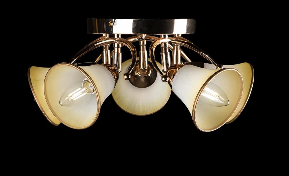 Люстра с плафонами Ray L99065/5 (IR005759)